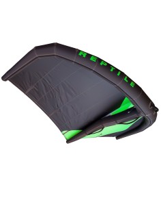 Reptile Wing Bora 2024