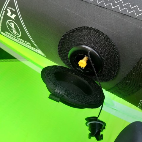 Reptile Wing Bora 2024