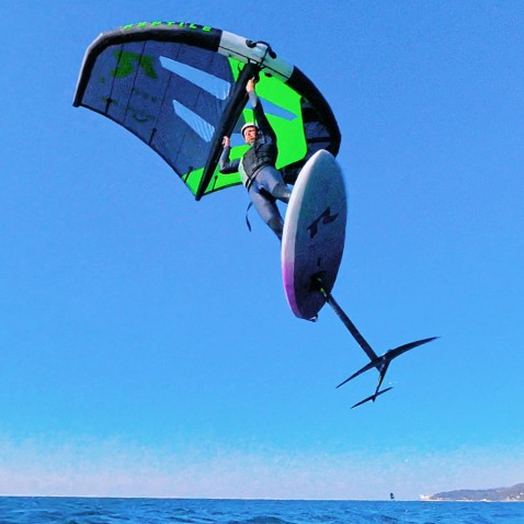 Foil Reptile Aqua Glide